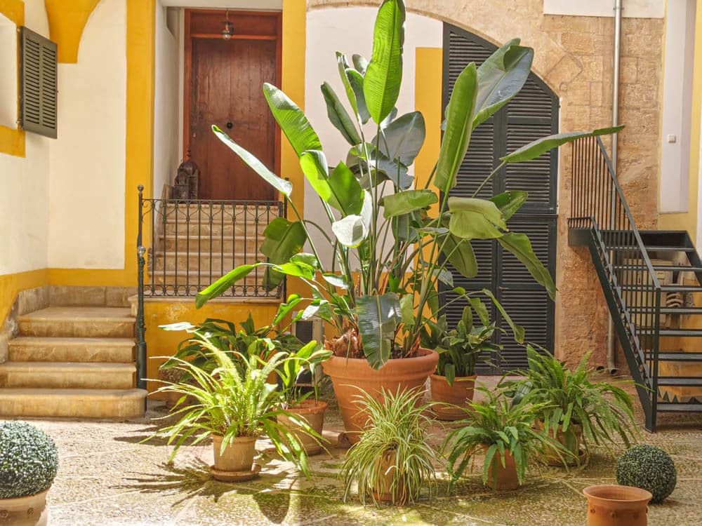 8 quarto Casa em Banda para venda em Palma de Mallorca com piscina garagem - 10 800 000 € (Ref: 9164802)