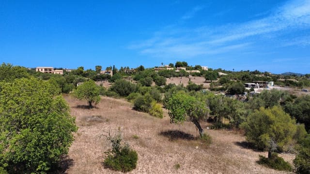 Undeveloped Land for sale in Son Servera - € 435,000 (Ref: 9187235)