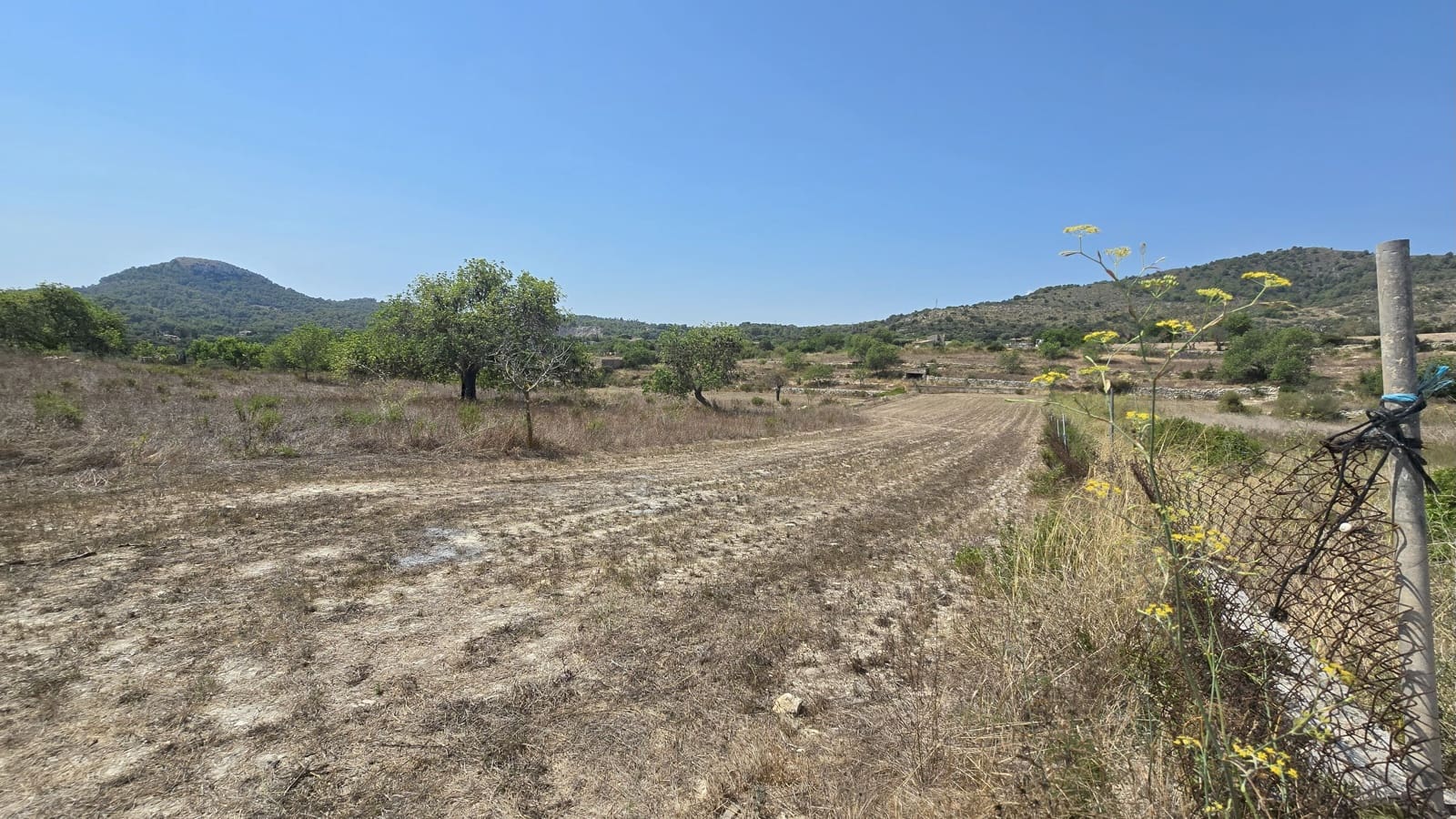 Terreno Non Edificato in vendita in Son Servera - 400.000 € (Rif: 9187448)