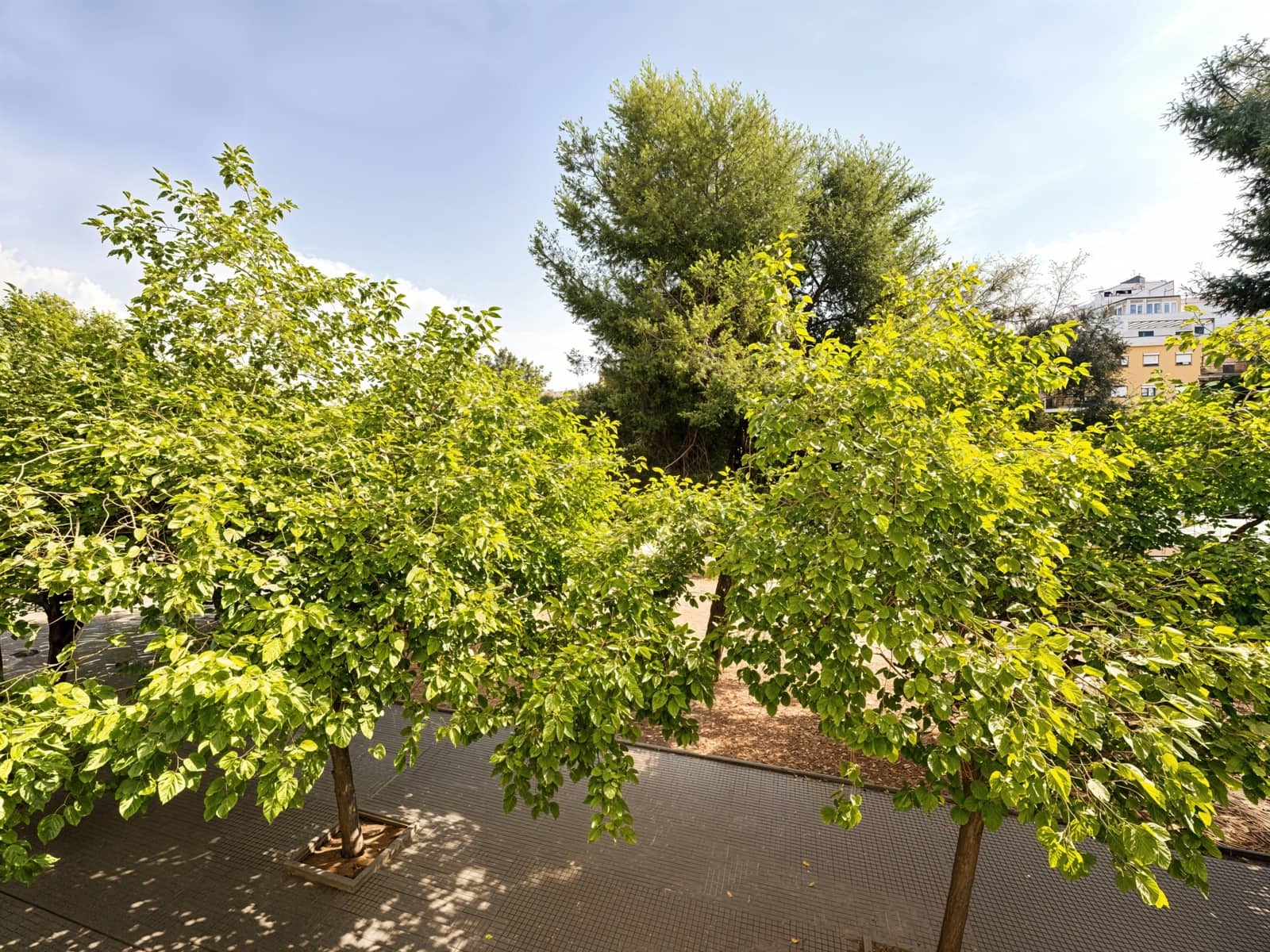 1 soverom Leilighet til salgs i Palma de Mallorca med garasje - € 520 000 (Ref: 9198022)