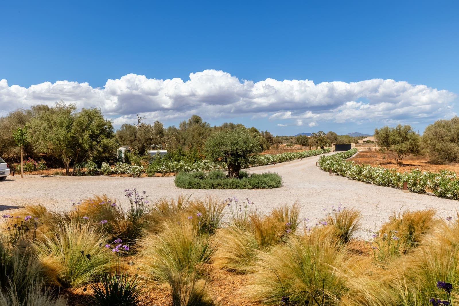 Finca/Casa Rural de 5 habitaciones en Ses Salines en venta con piscina garaje - 4.295.000 € (Ref: 9205495)