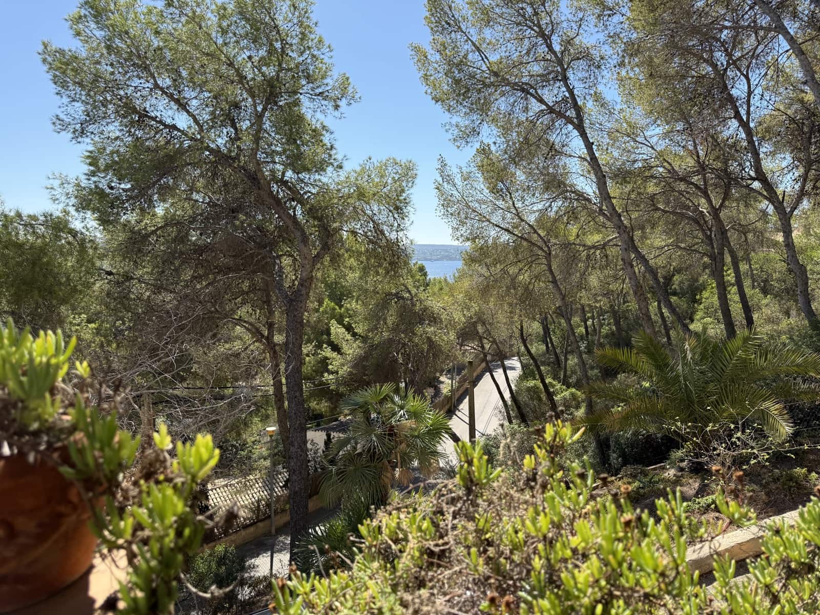 2 soverom Villa til salgs i Peguera / Paguera med svømmebasseng - € 1 698 000 (Ref: 9238837)