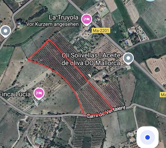 Grunde uden byggetilladelser til salg i Alcúdia - € 960.000 (Ref: 9245417)