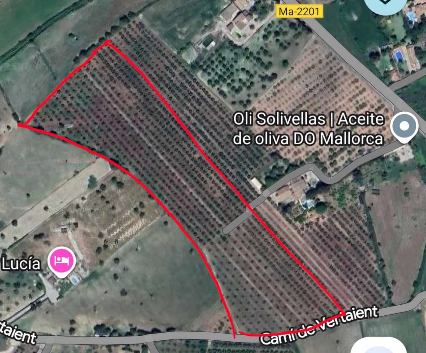 Grunde uden byggetilladelser til salg i Alcudia - € 960.000 (Ref: 9245417)