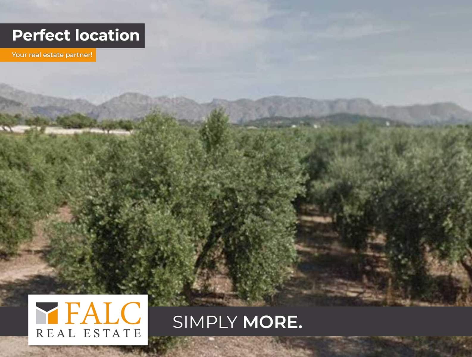 Grunde uden byggetilladelser til salg i Alcudia - € 960.000 (Ref: 9245417)