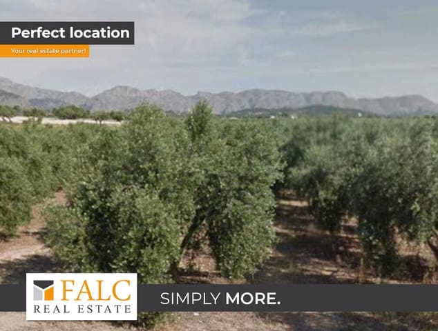 Grunde uden byggetilladelser til salg i Alcúdia - € 960.000 (Ref: 9245417)