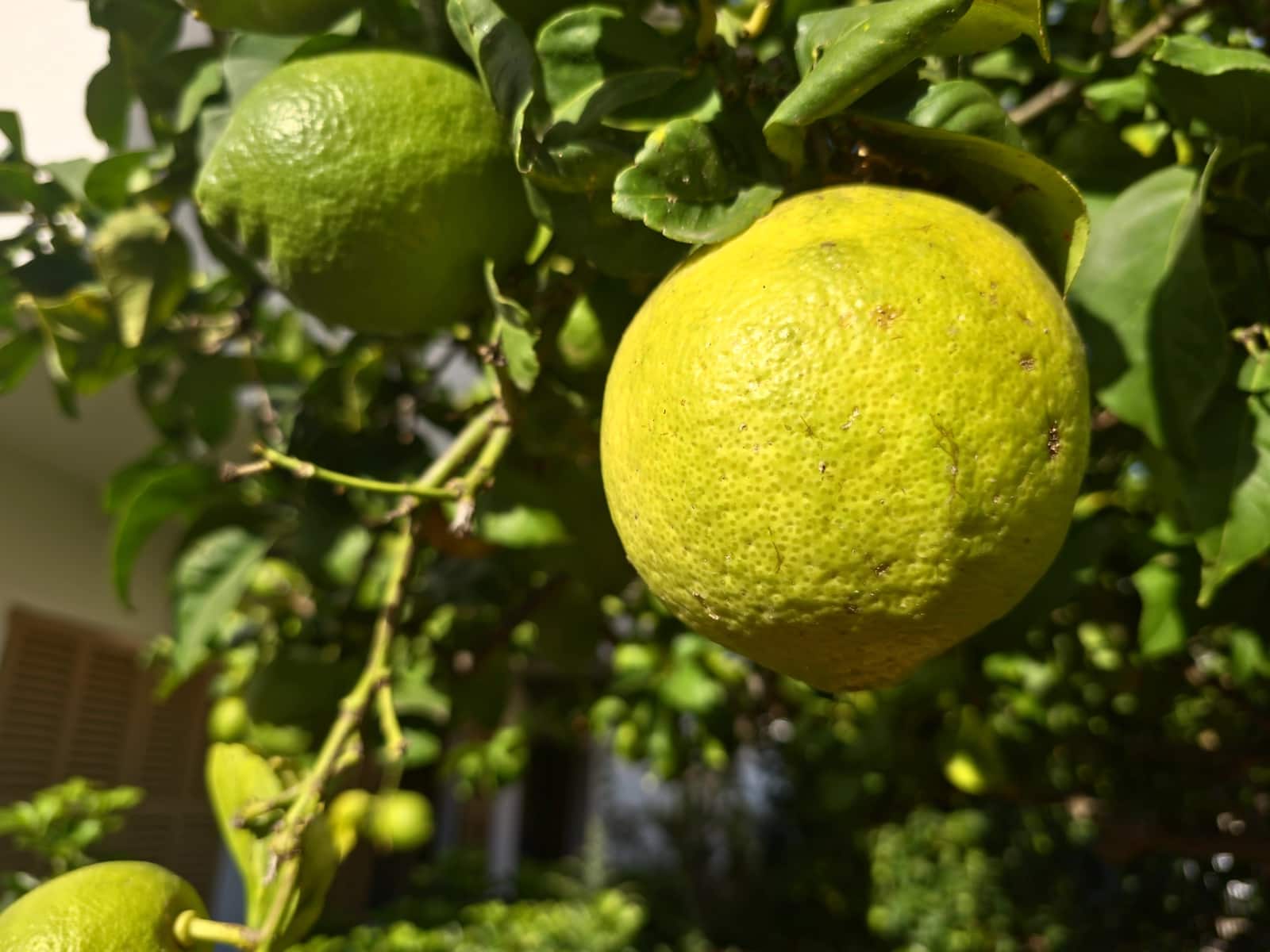 Semi-Rækkehus til salg i Cala Millor med swimmingpool garage - € 1.289.000 (Ref: 9271749)