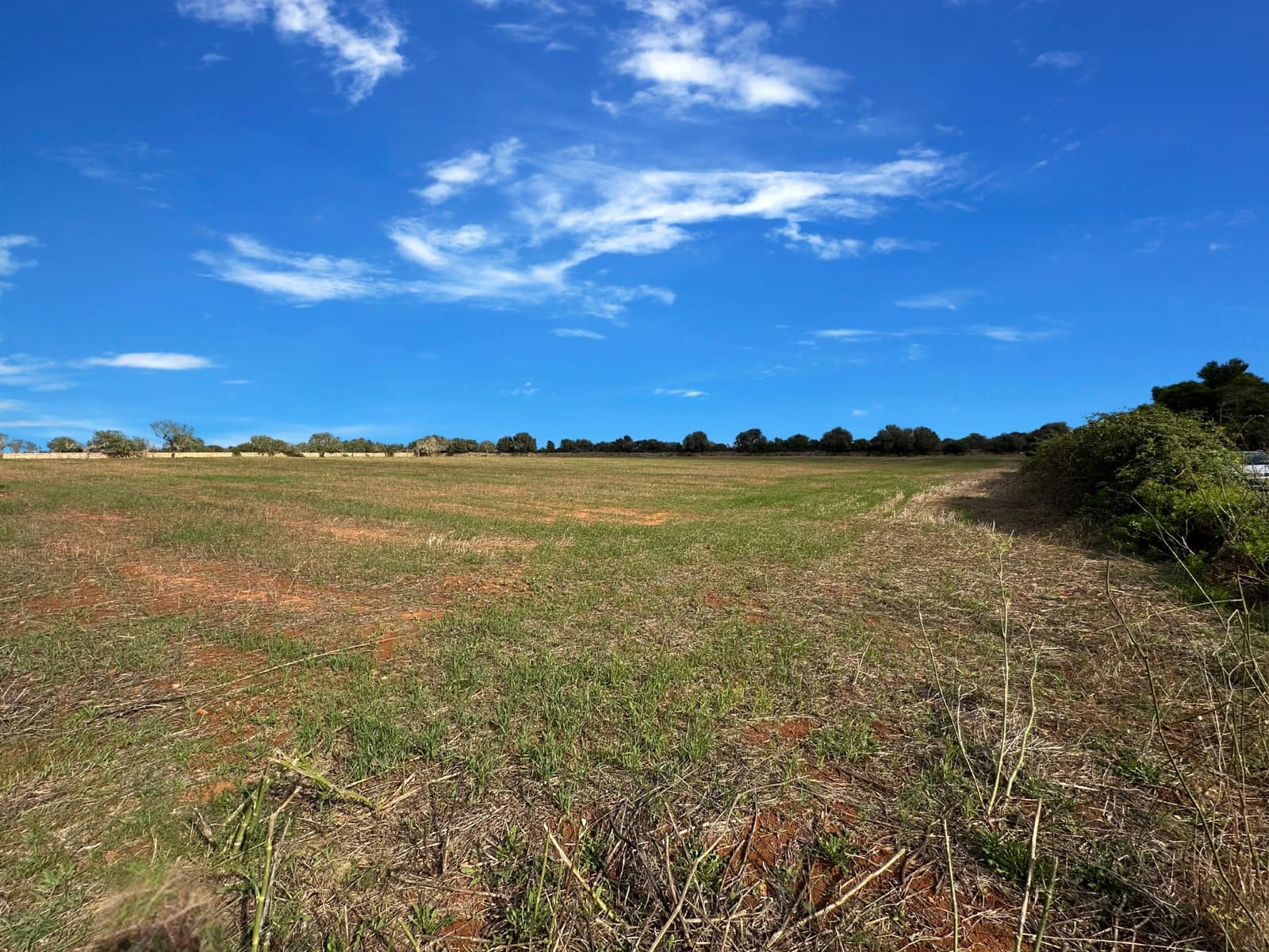 Rakentamaton maa myytävänä paikassa Santanyi - 320 000 € (Ref: 9278132)