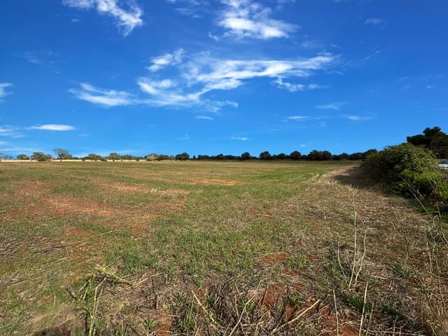 Grond te koop in Santanyí - € 320.000 (Ref: 9278132)