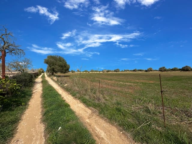 Grond te koop in Santanyí - € 320.000 (Ref: 9278132)