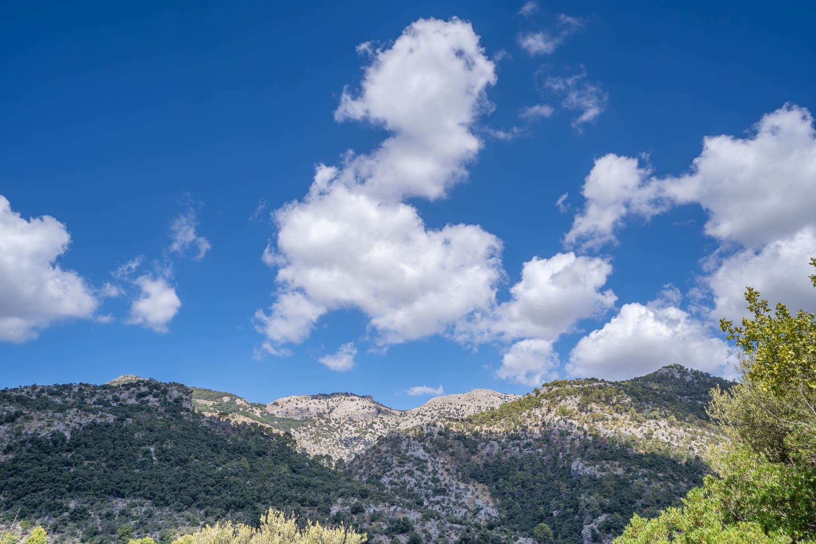 3 sovrum Finca/Hus på landet till salu i Orient - 1 485 000 € (Ref: 9331862)