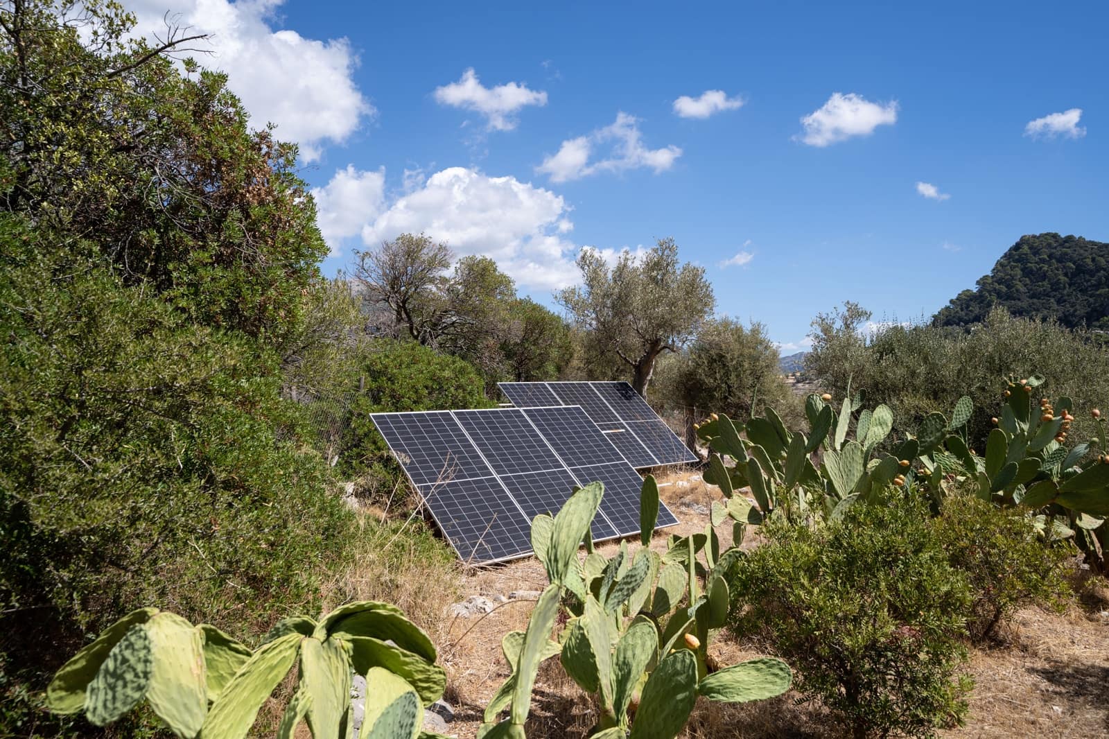 3 sovrum Finca/Hus på landet till salu i Orient - 1 485 000 € (Ref: 9331862)