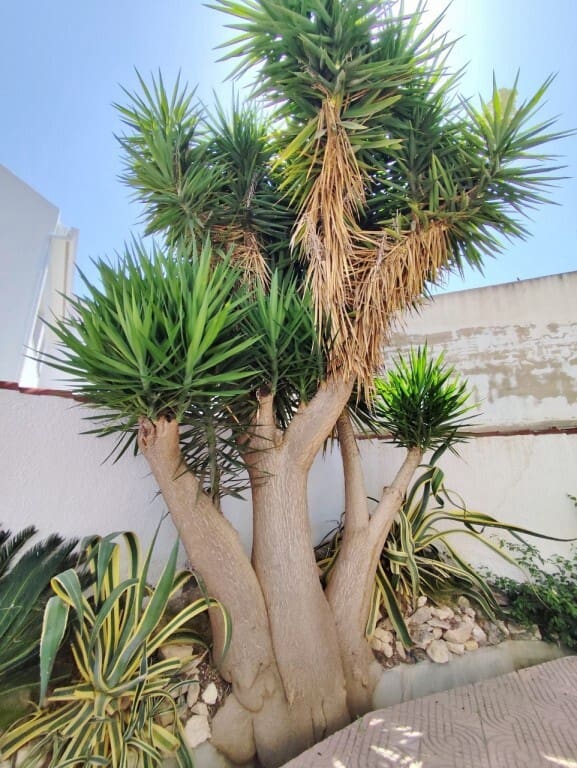 4 camera da letto Villa in vendita in San Miguel de Salinas - 425.000 € (Rif: 9352978)