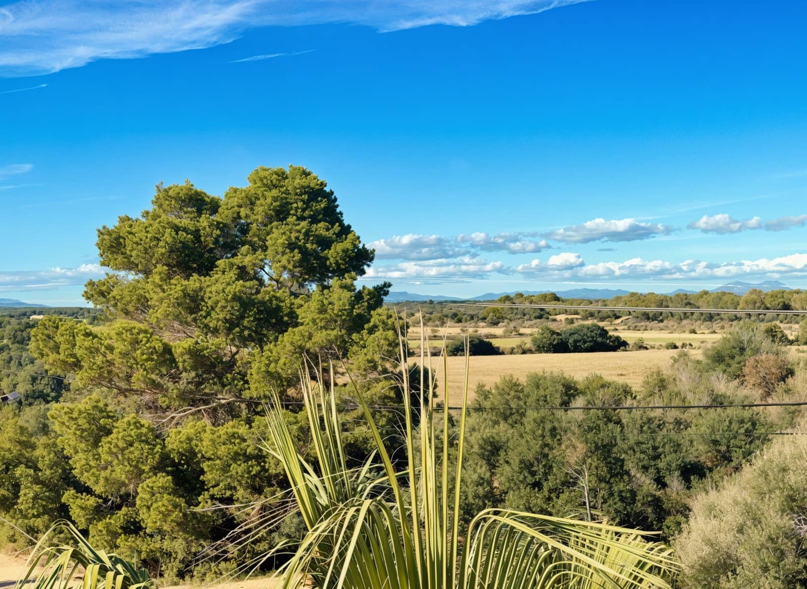3 bedroom Semi-detached Villa for sale in Llucmajor with pool garage - € 849,000 (Ref: 9369368)
