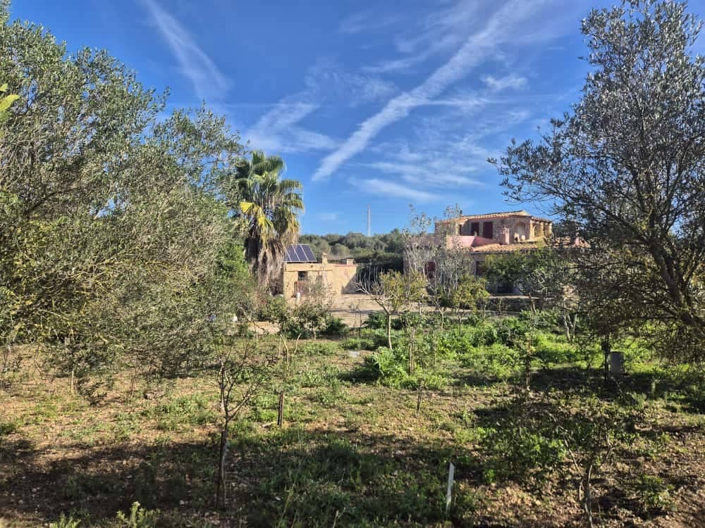 5 sypialnia Finka/Dom wiejski na sprzedaż w Son Carrio - 390 000 € (Ref: 9388184)