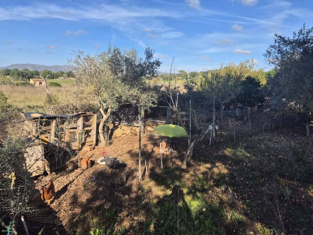 5 sypialnia Finka/Dom wiejski na sprzedaż w Son Carrio - 390 000 € (Ref: 9388184)