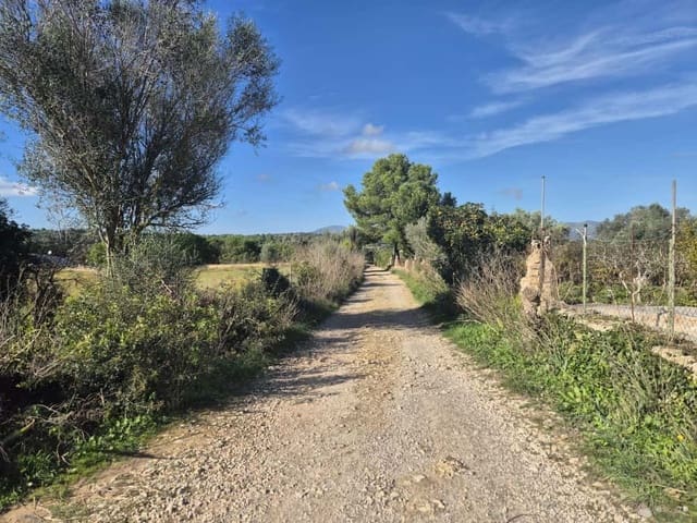 5 sypialnia Finka/Dom wiejski na sprzedaż w Son Carrio, Sant Llorenç des Cardassar - 390 000 € (Ref: 9388184)