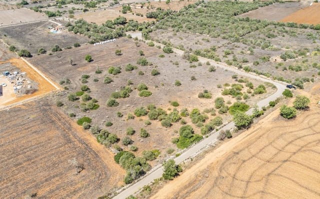 Undeveloped Land for sale in Santanyí - € 498,000 (Ref: 9431256)