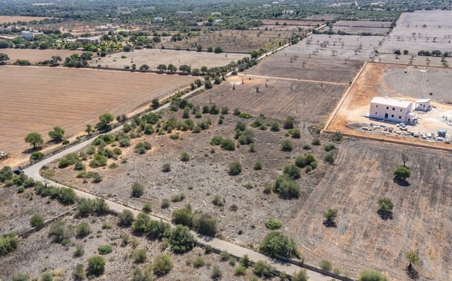Undeveloped Land for sale in Santanyí - € 498,000 (Ref: 9431256)
