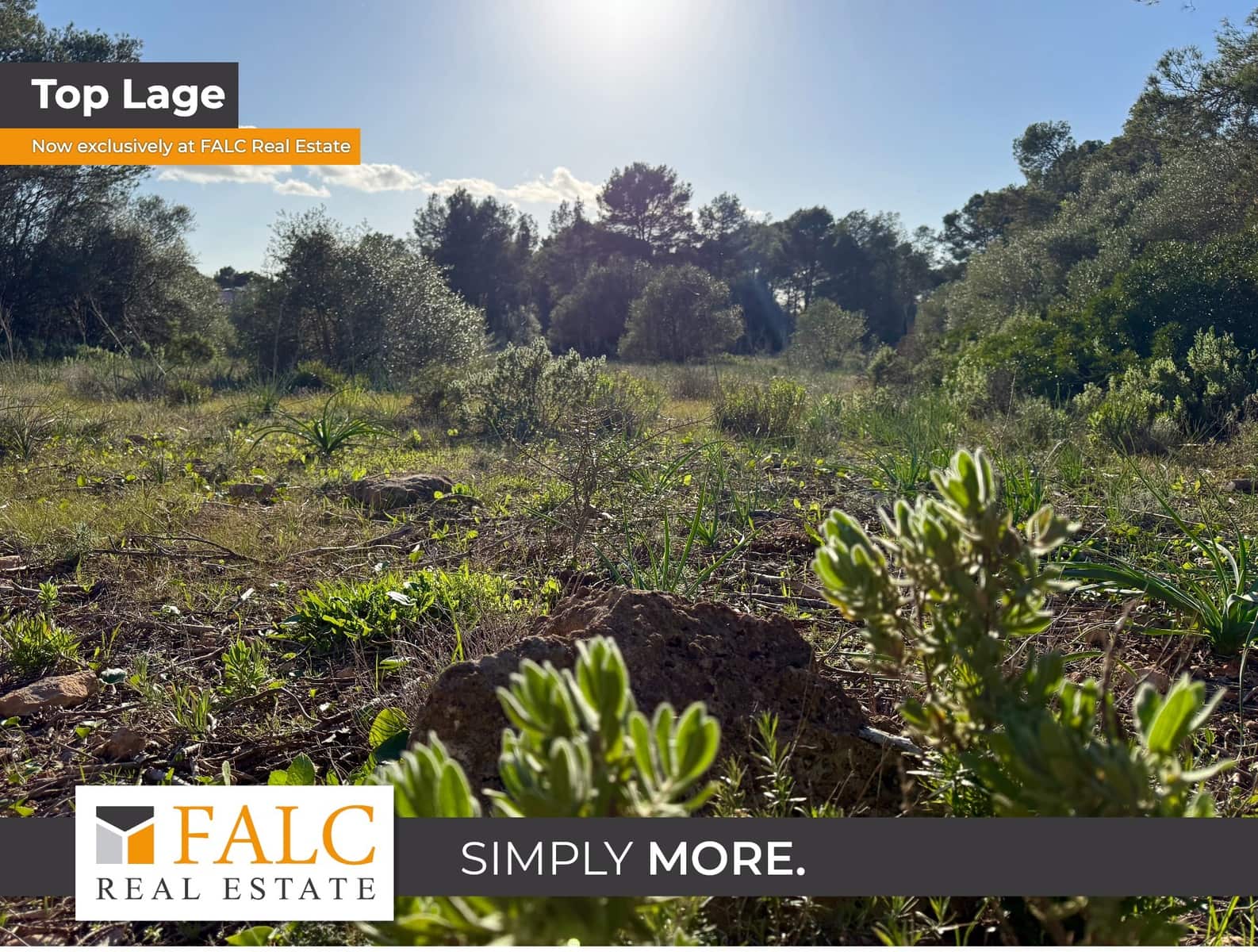 Ubebygd land til salgs i Algaida - € 375 000 (Ref: 9444753)