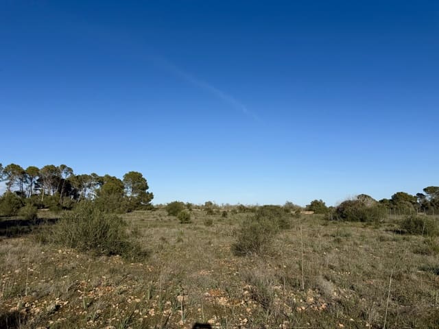 Undeveloped Land for sale in Algaida - € 375,000 (Ref: 9444753)