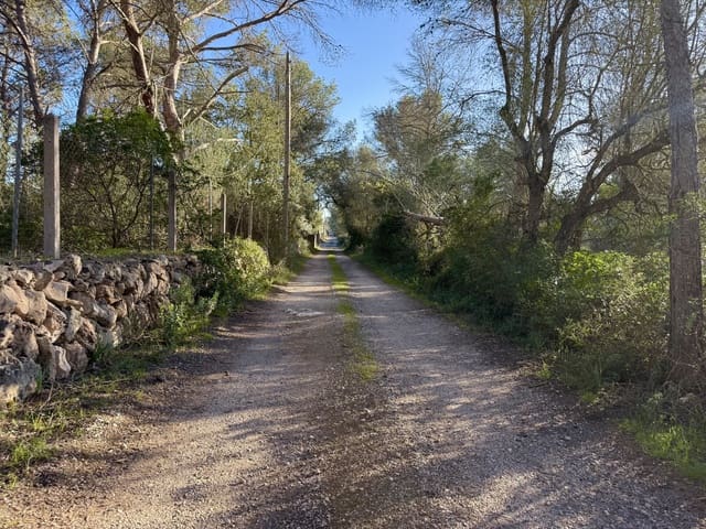 Undeveloped Land for sale in Algaida - € 375,000 (Ref: 9444753)