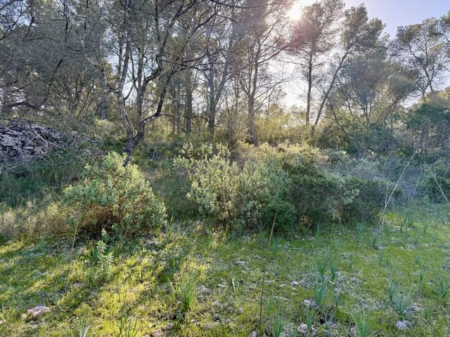 Undeveloped Land for sale in Algaida - € 375,000 (Ref: 9444753)