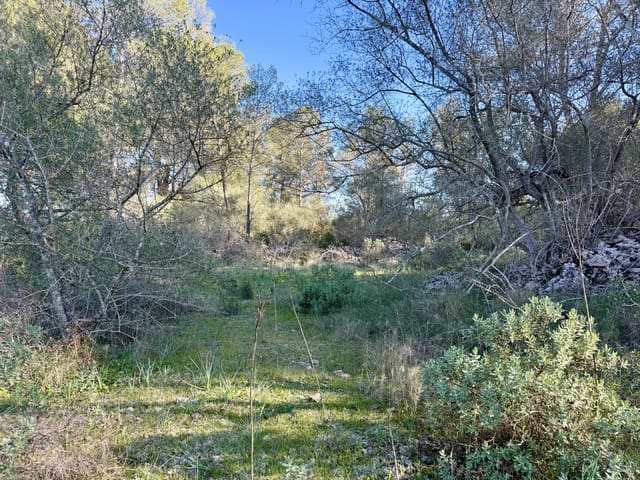 Undeveloped Land for sale in Algaida - € 375,000 (Ref: 9444753)