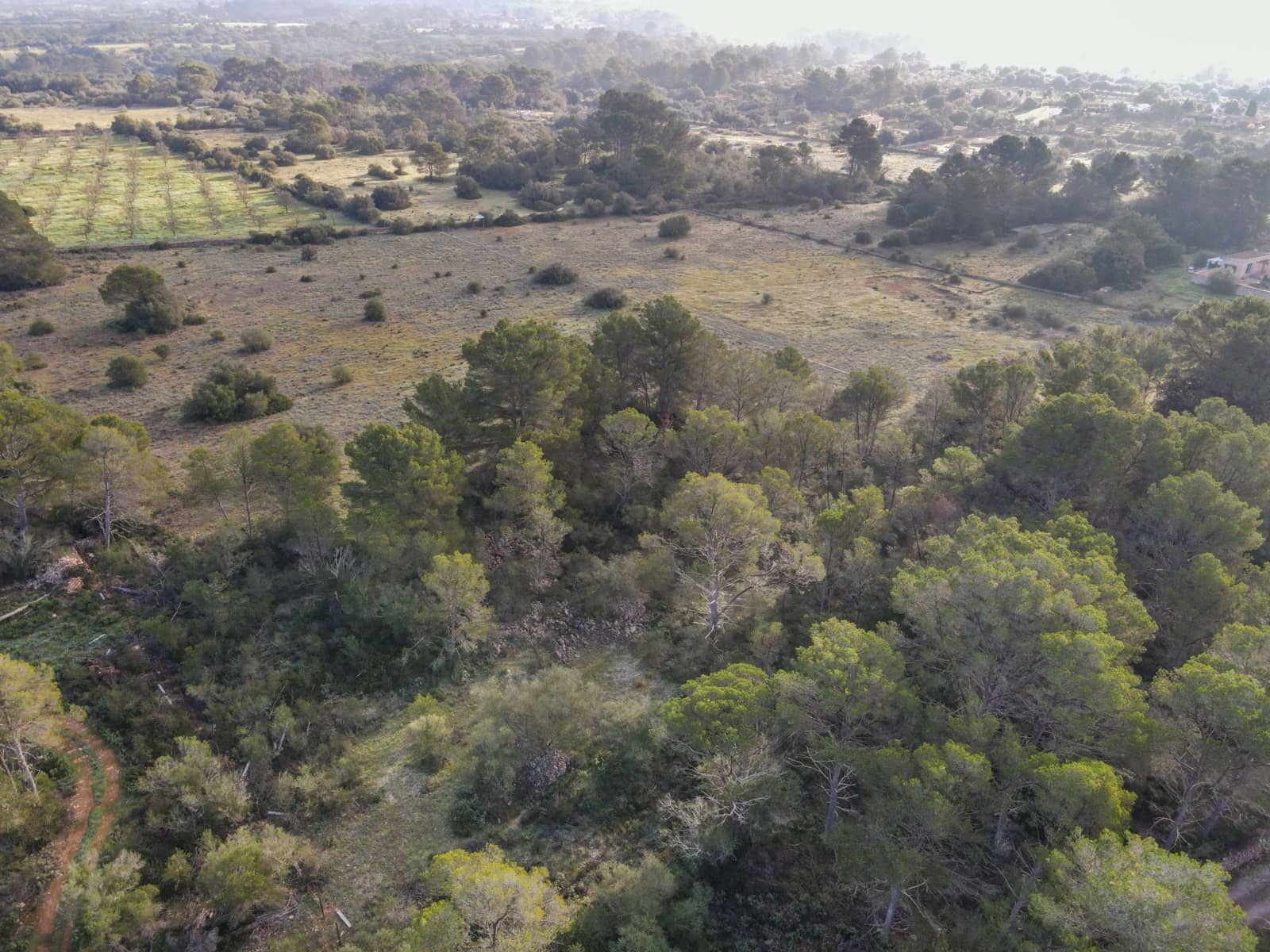 Landgrundstück zu verkaufen in Algaida - 375.000 € (Ref: 9444753)