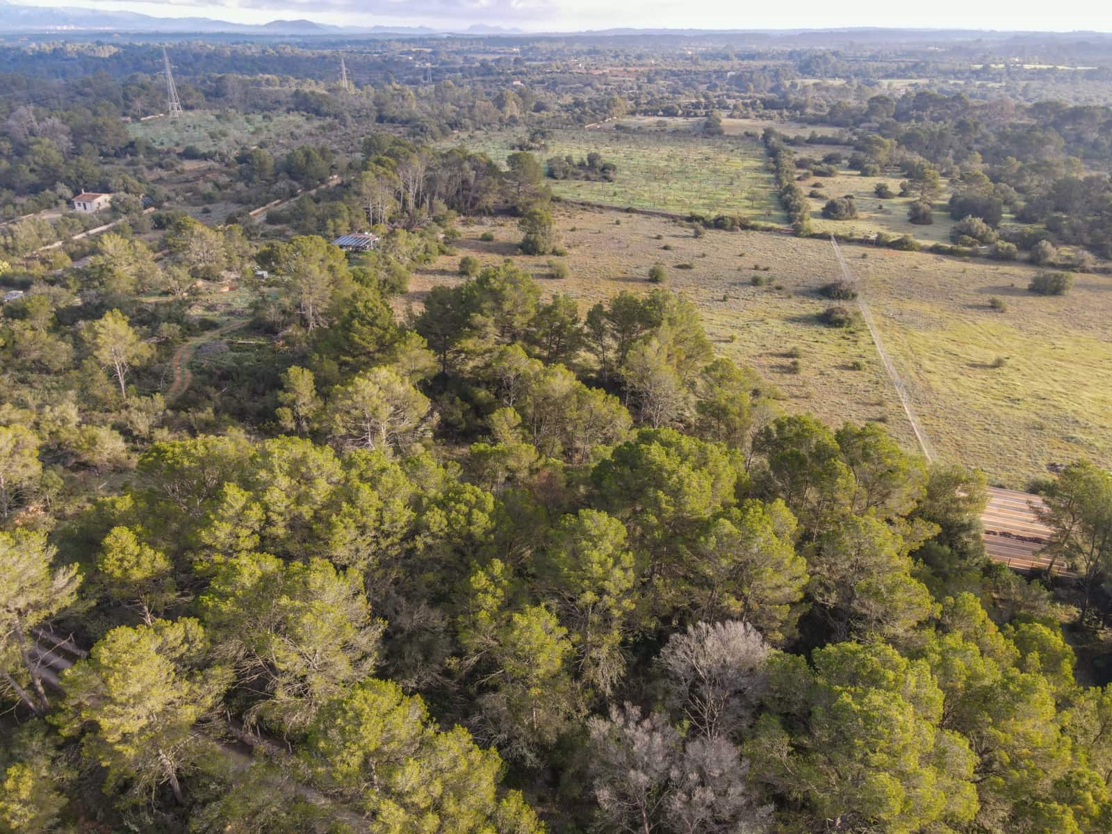 Landgrundstück zu verkaufen in Algaida - 375.000 € (Ref: 9444753)