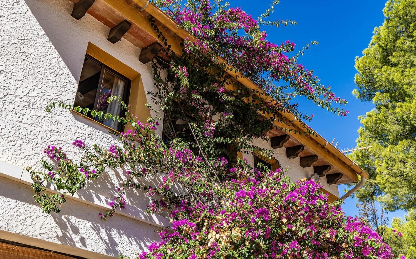 5 makuuhuone Huvila myytävänä paikassa Costa de la Calma mukana uima-altaan 
autotalli - 1 495 000 € (Ref: 9446895)