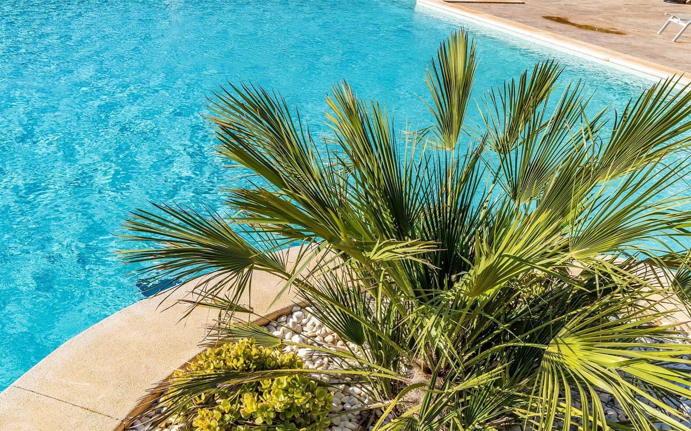 2 soveværelse Lejlighed til salg i Sa Rapita / La Rapita med swimmingpool garage - € 650.000 (Ref: 9447276)