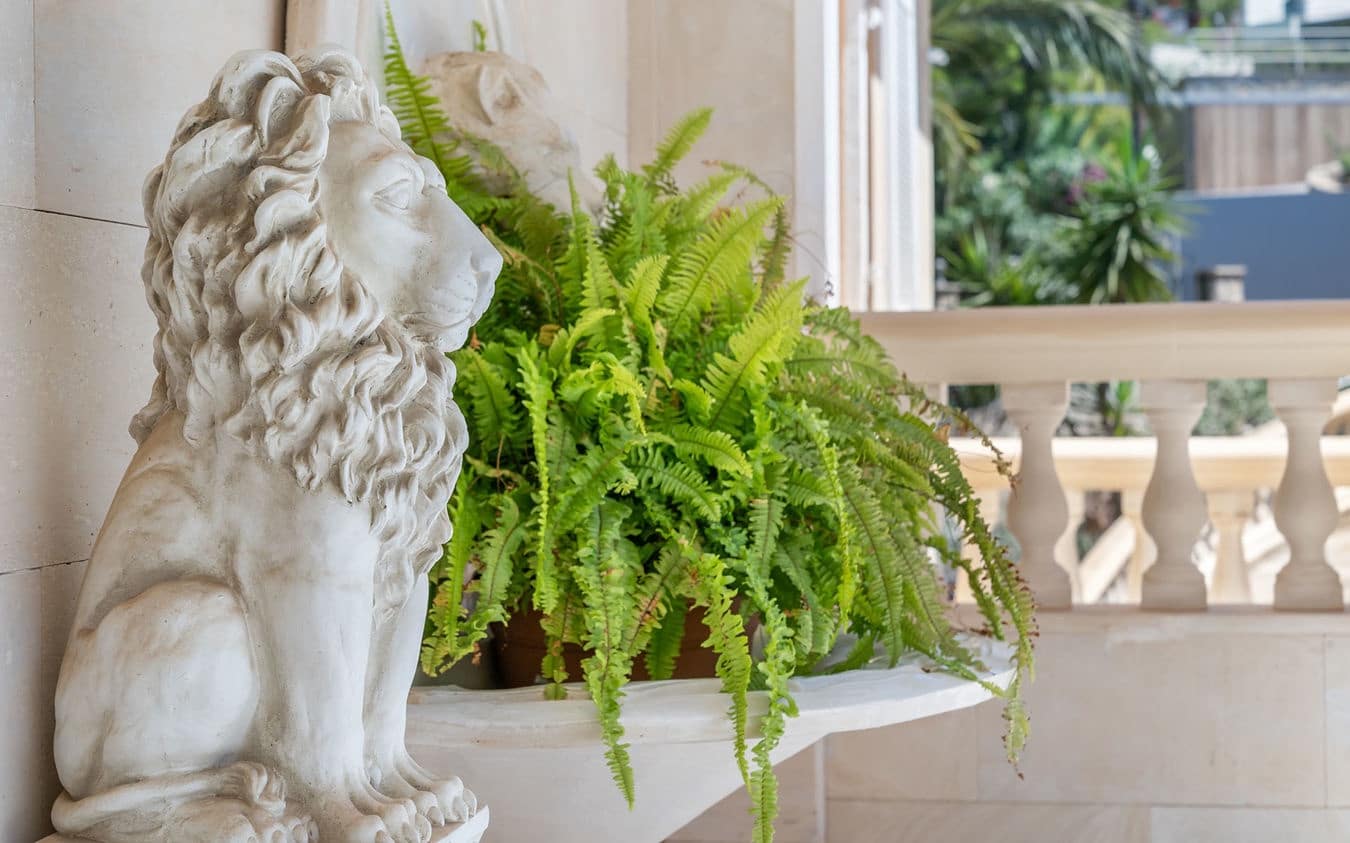 4 camera da letto Villa in vendita in Costa de la Calma con piscina garage - 2.550.000 € (Rif: 9453631)