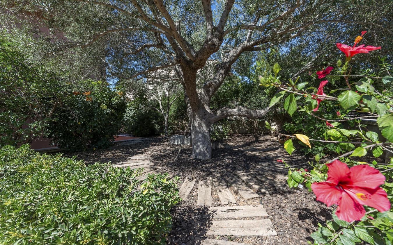 5 bedroom Villa for sale in Sa Cabaneta / La Cabaneta with pool garage - € 1,500,000 (Ref: 9454721)