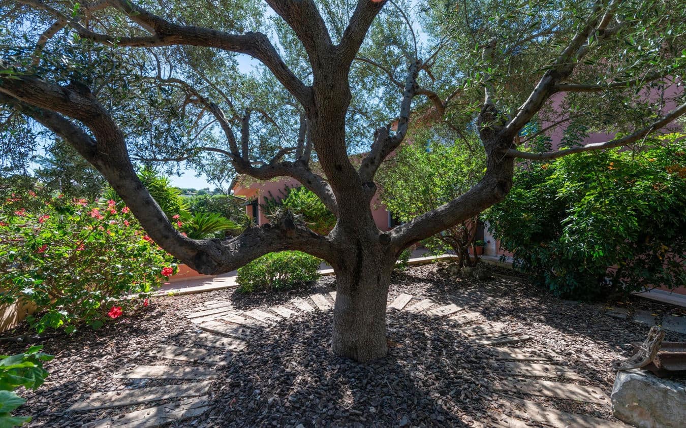 5 bedroom Villa for sale in Sa Cabaneta / La Cabaneta with pool garage - € 1,500,000 (Ref: 9454721)