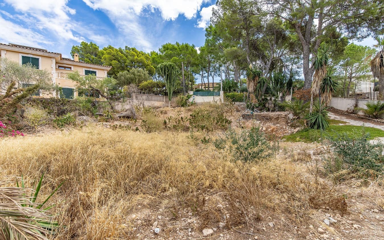 Undeveloped Land for sale in Bendinat - € 3,100,000 (Ref: 9459698)