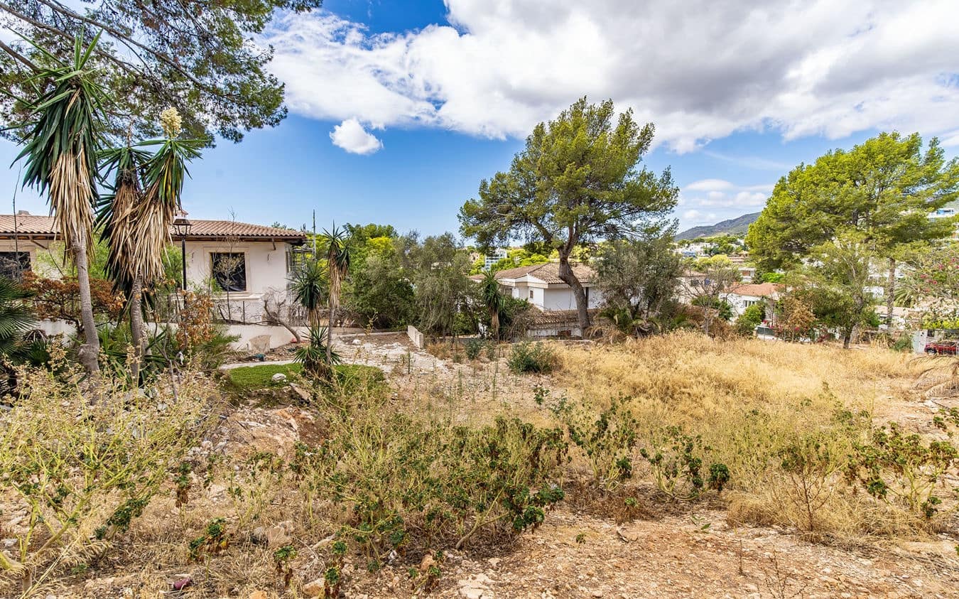 Undeveloped Land for sale in Bendinat - € 3,100,000 (Ref: 9459698)