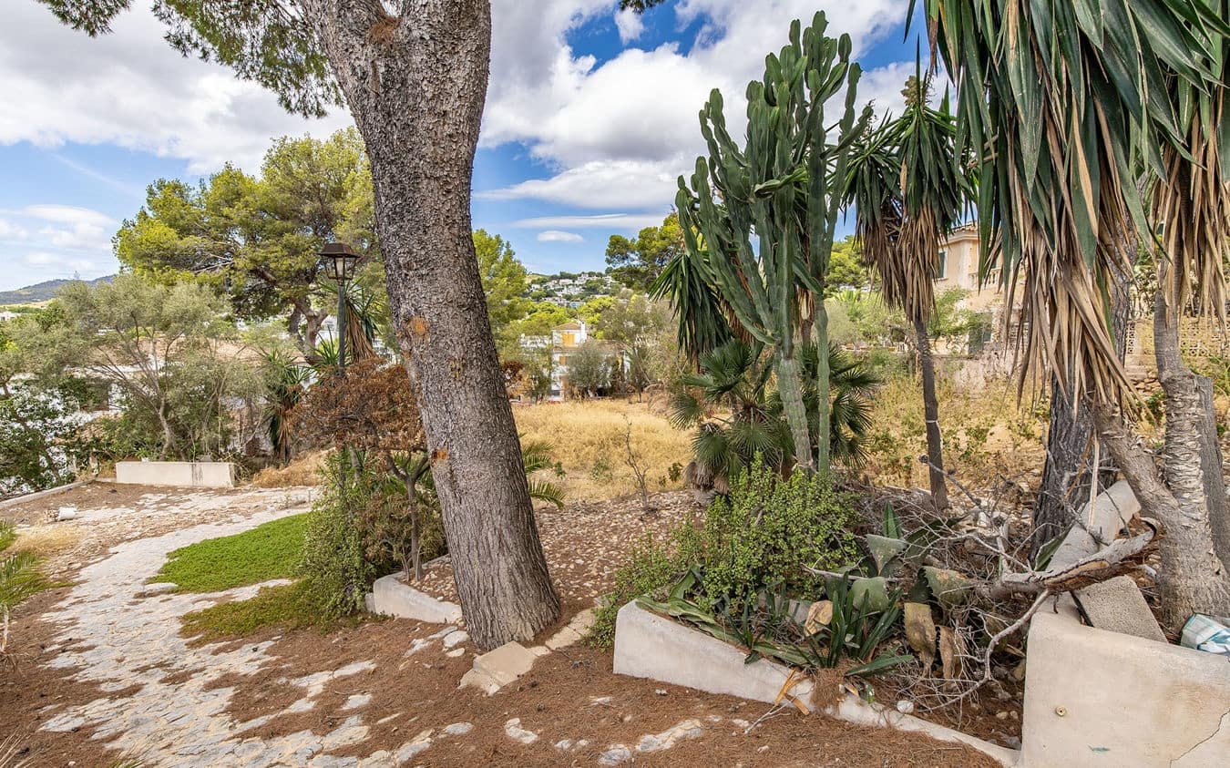 Undeveloped Land for sale in Bendinat - € 3,100,000 (Ref: 9459698)