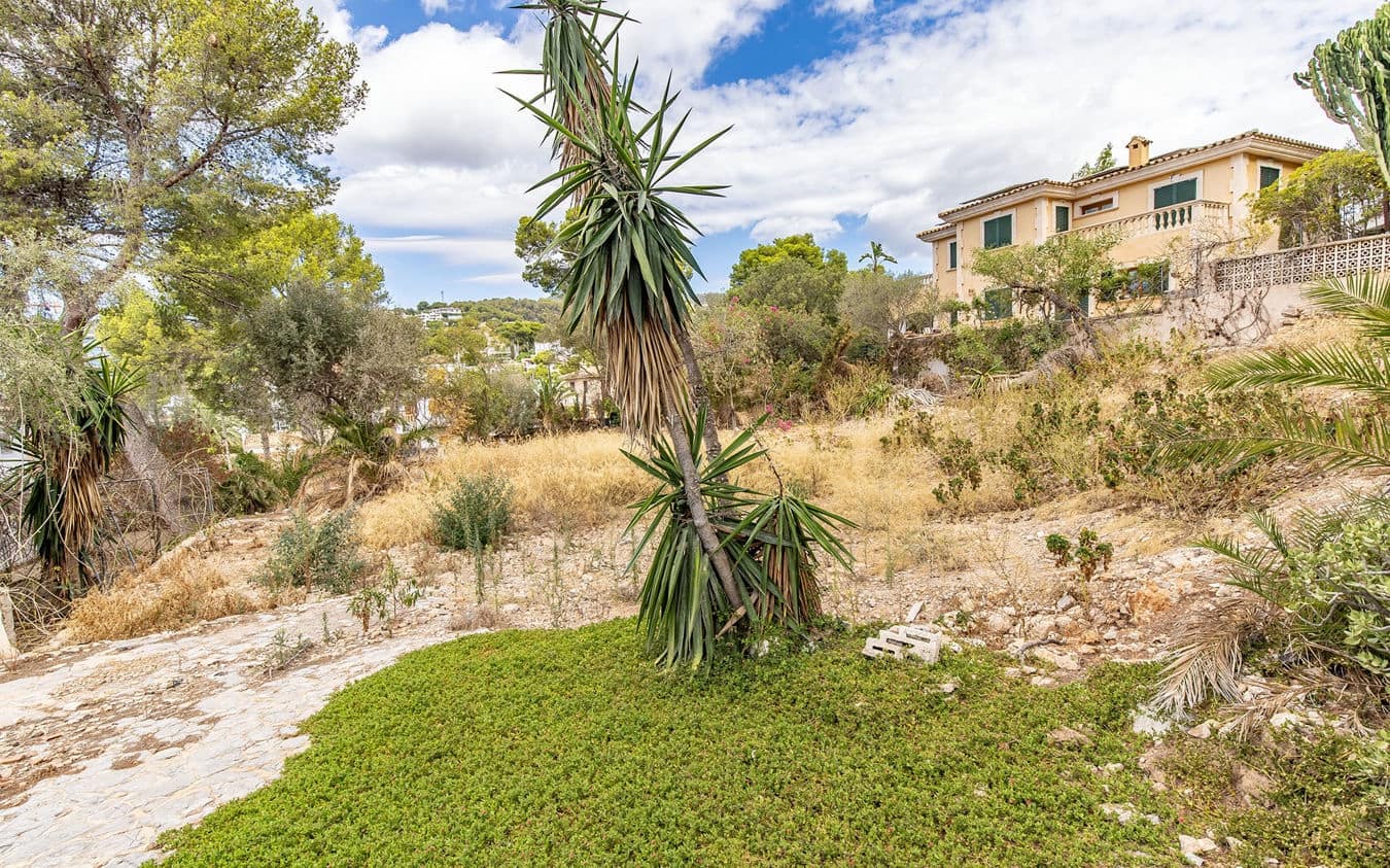 Undeveloped Land for sale in Bendinat - € 3,100,000 (Ref: 9459698)