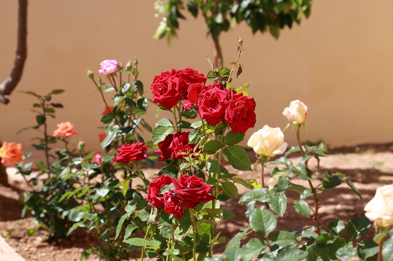 5 makuuhuone Huvila myytävänä paikassa Son Serra de Marina mukana 
autotalli - 975 000 € (Ref: 9473209)