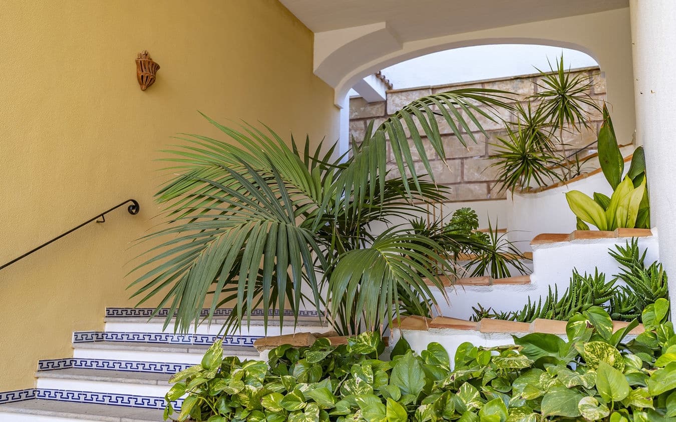 2 soveværelse Lejlighed til salg i Peguera / Paguera med swimmingpool garage - € 895.000 (Ref: 9478876)