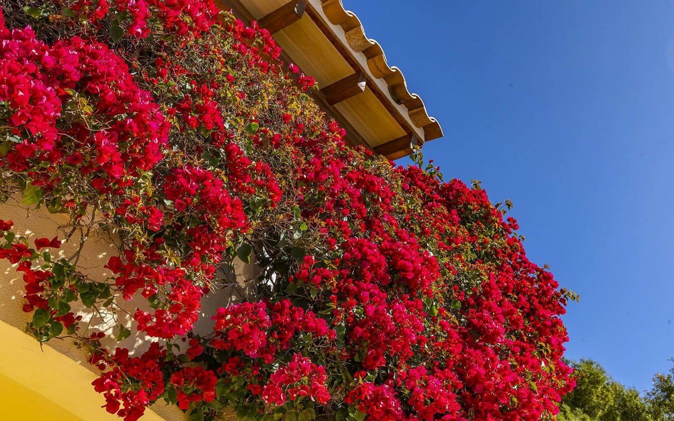 2 soveværelse Lejlighed til salg i Peguera / Paguera med swimmingpool garage - € 895.000 (Ref: 9478876)