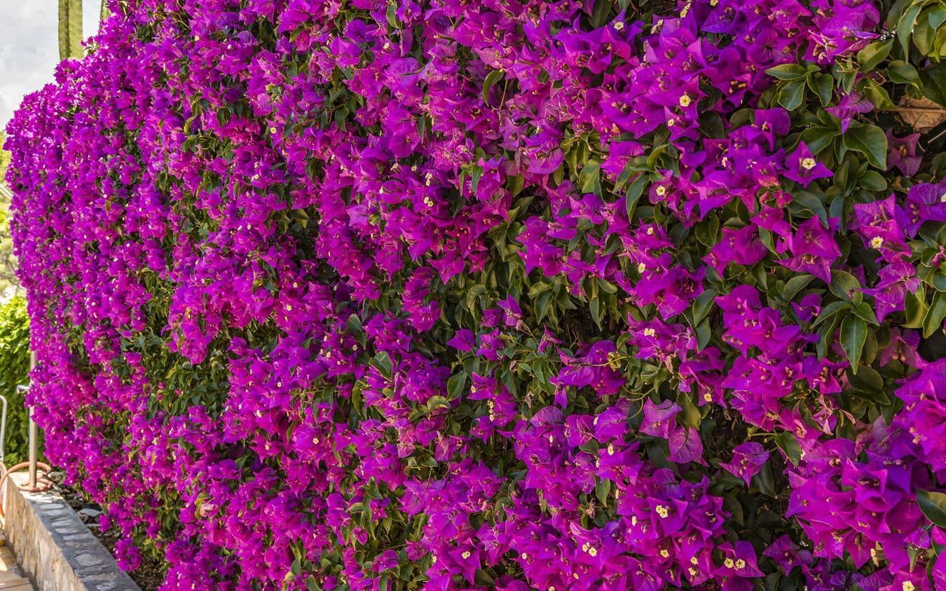 3 bedroom Villa for sale in Santa Ponsa with pool garage - € 1,850,000 (Ref: 9486481)