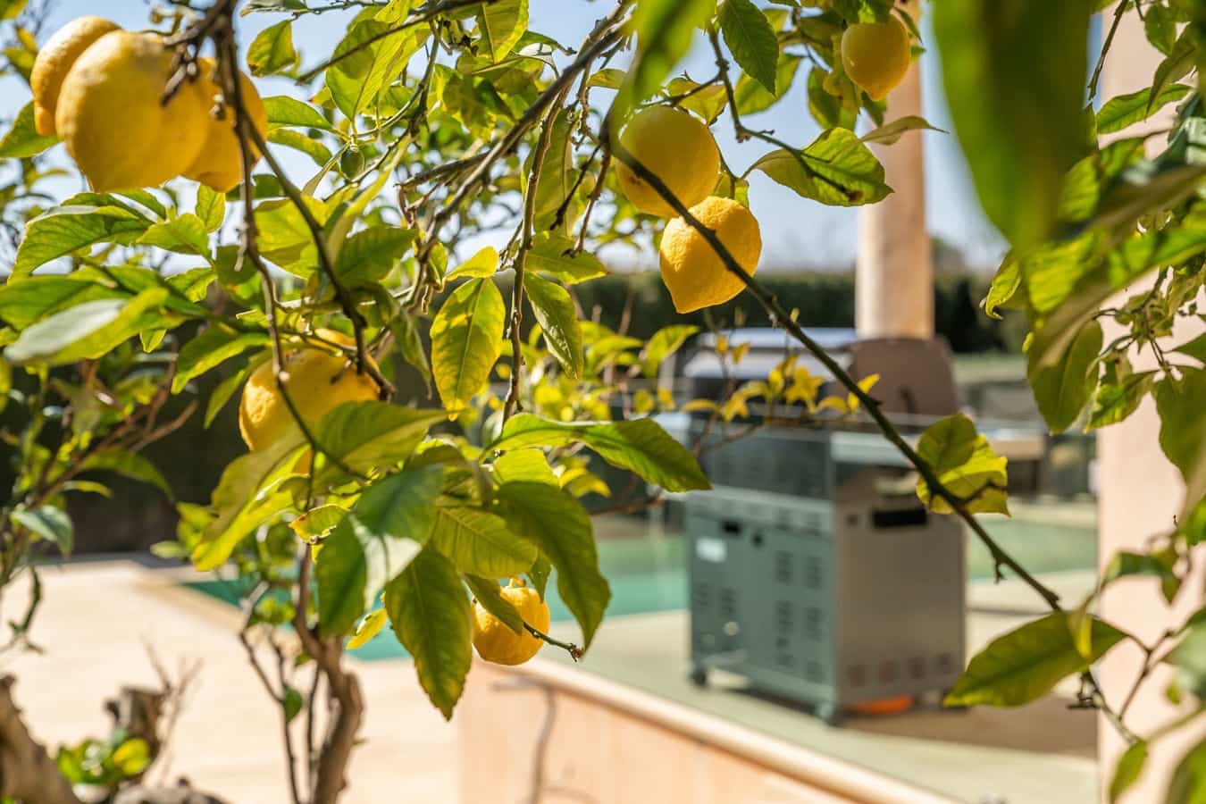 4 bedroom Villa for sale in Sa Cabaneta / La Cabaneta with pool garage - € 1,765,000 (Ref: 9500043)