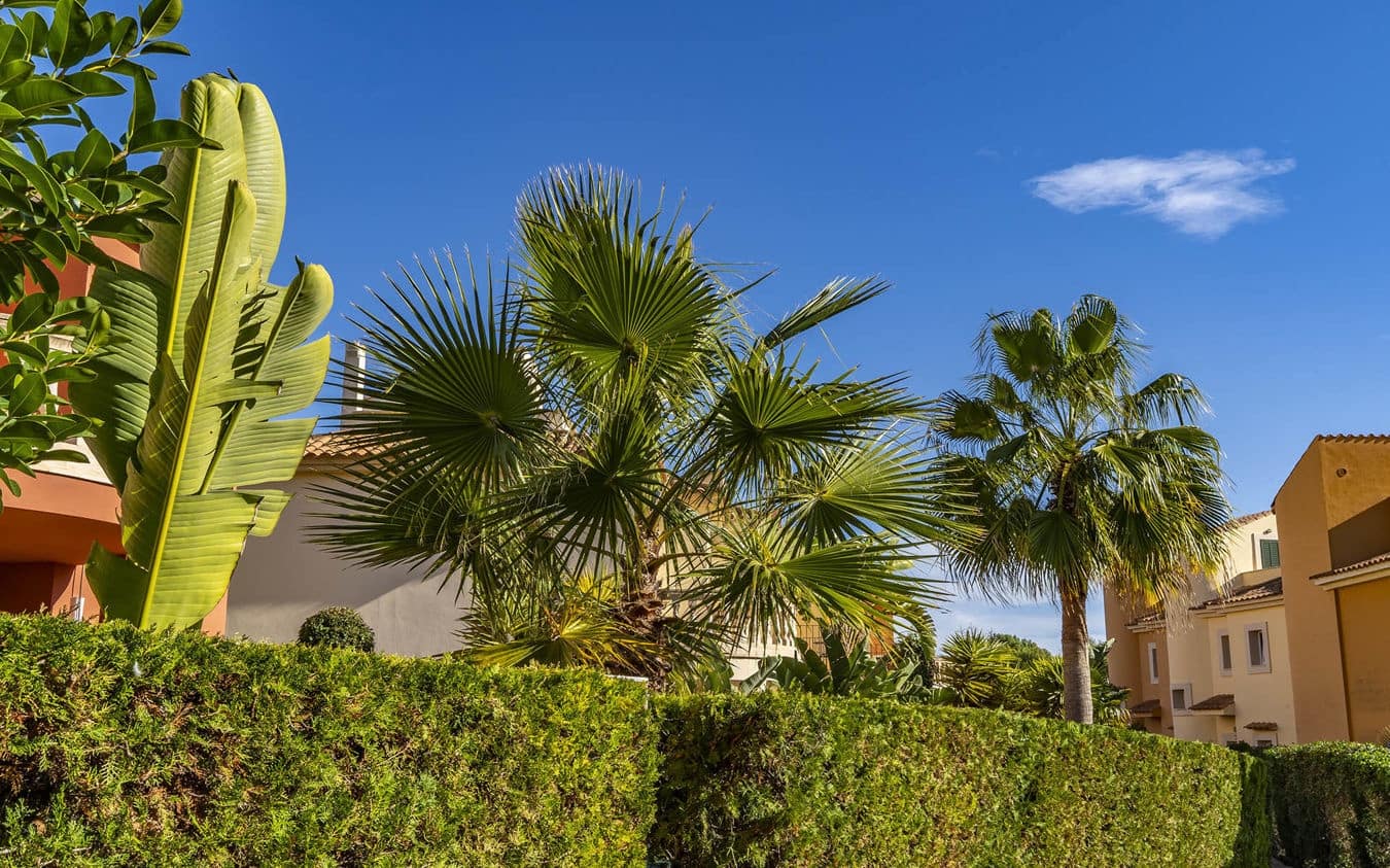 3 makuuhuone Huvila myytävänä paikassa Sa Rapita / La Rapita mukana uima-altaan - 745 000 € (Ref: 9510120)