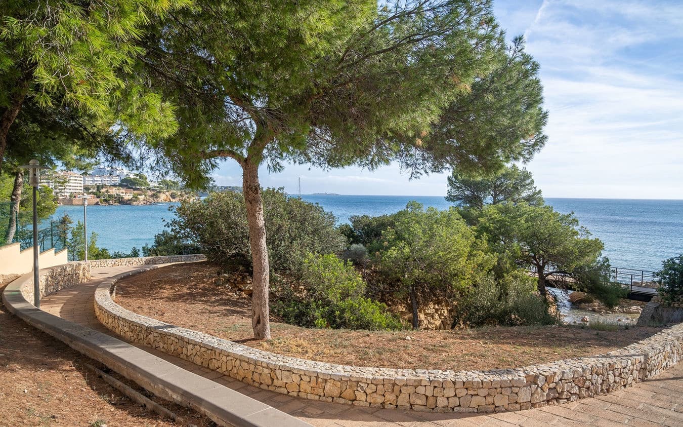 3 makuuhuone Huoneisto myytävänä paikassa Palmanova - 800 000 € (Ref: 9521412)