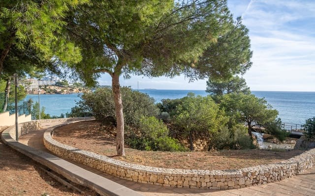 3 makuuhuone Huoneisto myytävänä paikassa Palmanova, Calvià - 800 000 € (Ref: 9521412)