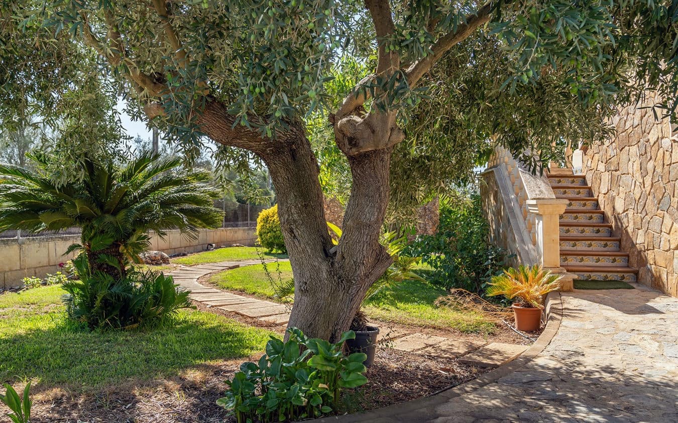 4 bedroom Finca/Country House for sale in Sa Cabaneta / La Cabaneta with pool garage - € 1,575,000 (Ref: 9521781)