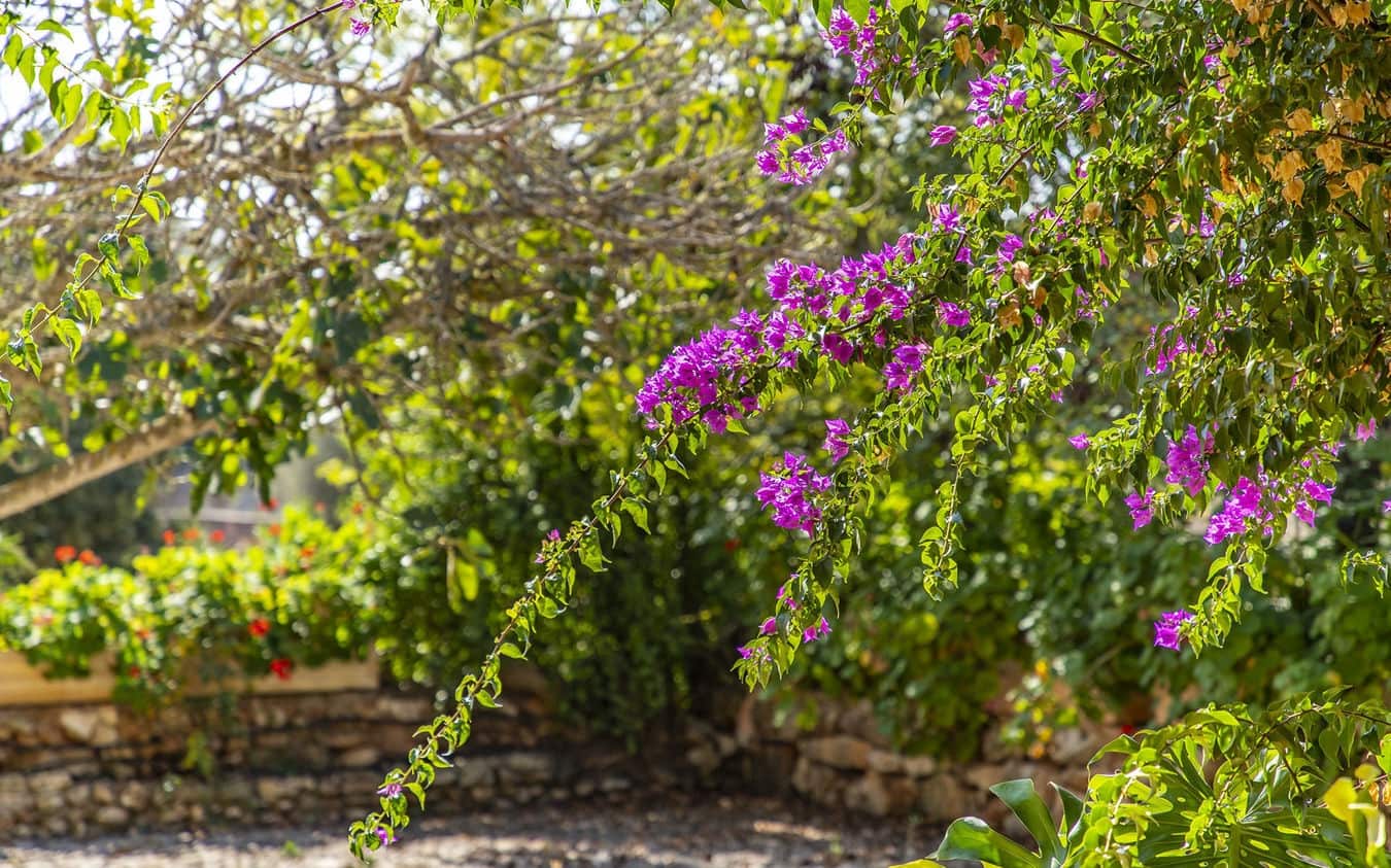 Finca/Casa Rural de 5 habitaciones en Porreres en venta con piscina garaje - 2.200.000 € (Ref: 9521782)