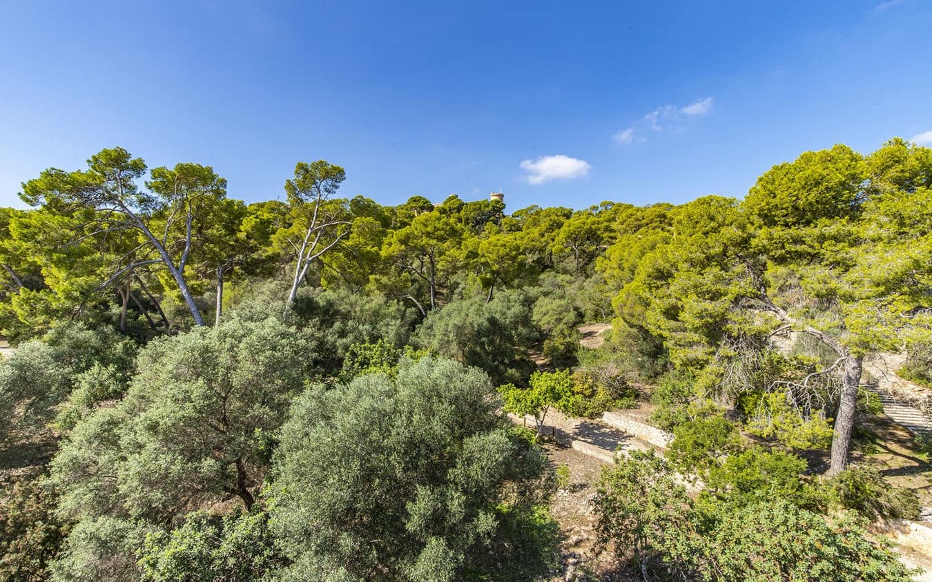 6 sypialnia Willa na sprzedaż w Palma de Mallorca z basenem garażem - 5 500 000 € (Ref: 9522844)